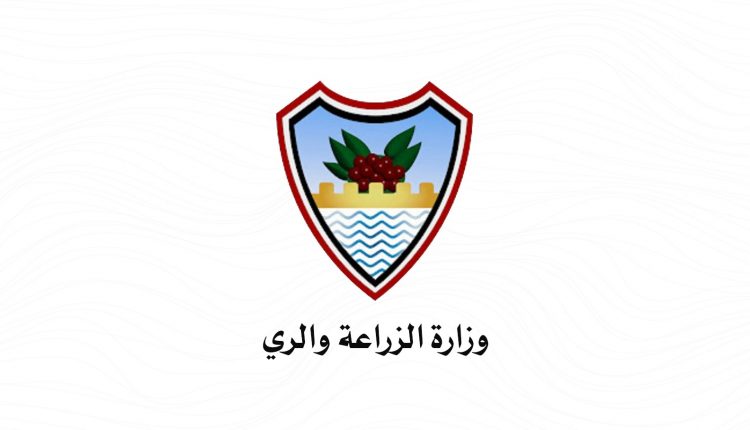 حكومة صنعاء تصدر اول تصريح بشأن  فاكهة المانجو ..